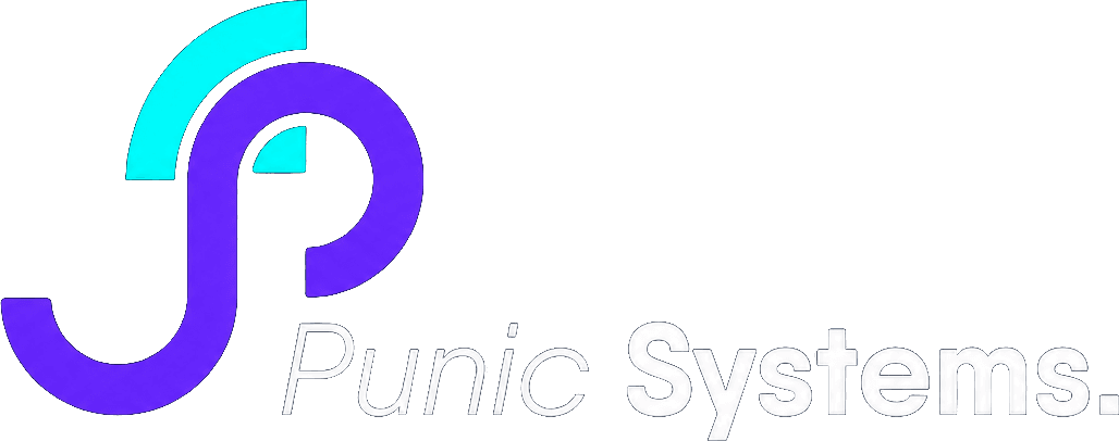 Punic Systems